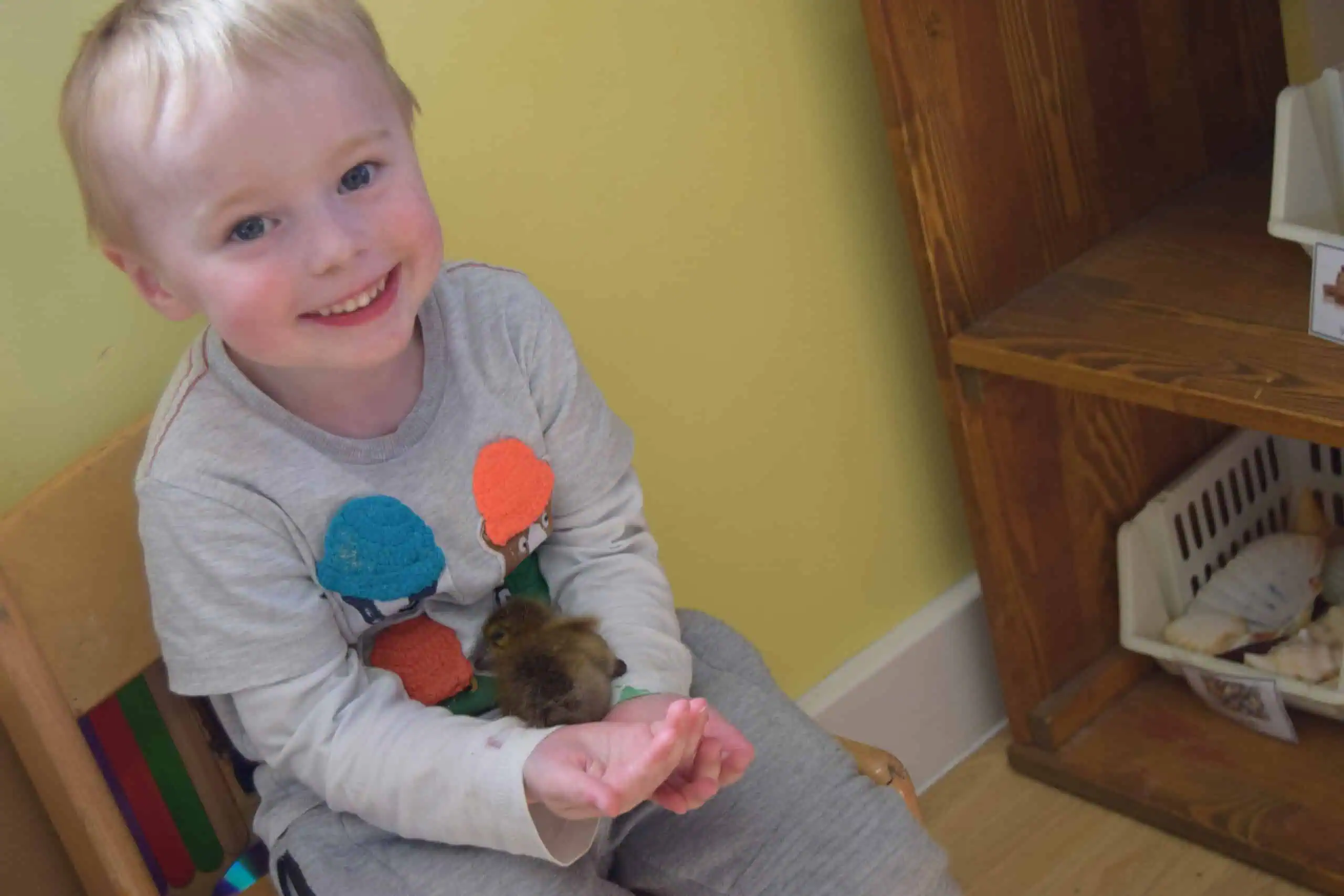 baby chick and nursery child baby chick and nursery child