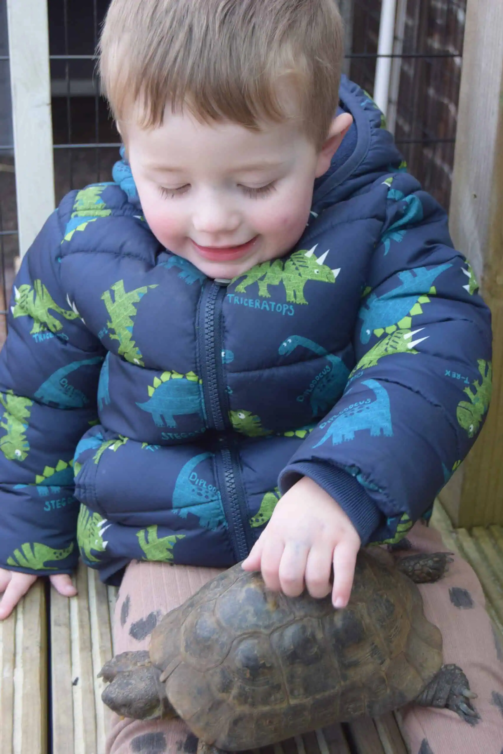 nursery child meeting turbo the tortoise