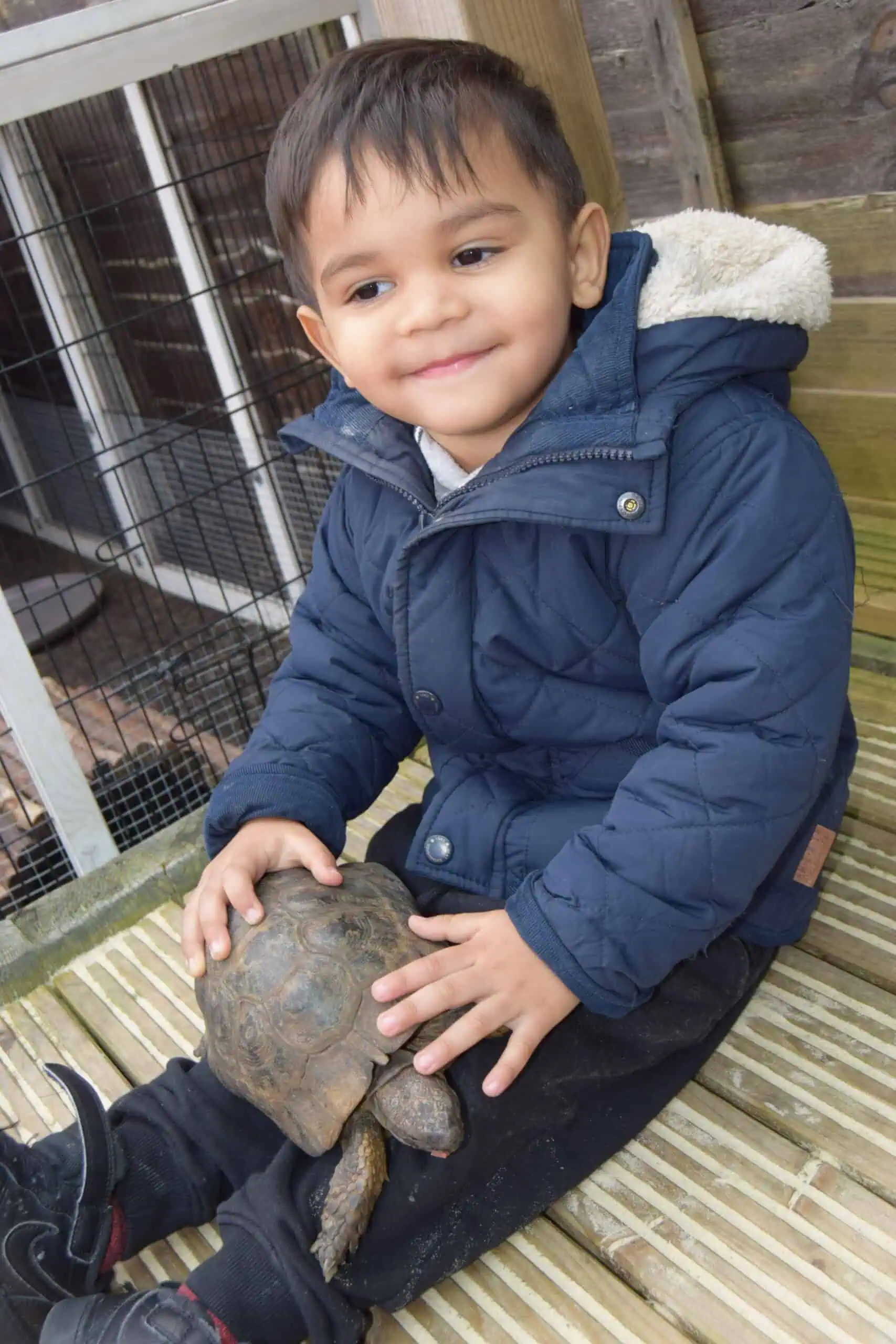 nursery child with turbo the tortoise